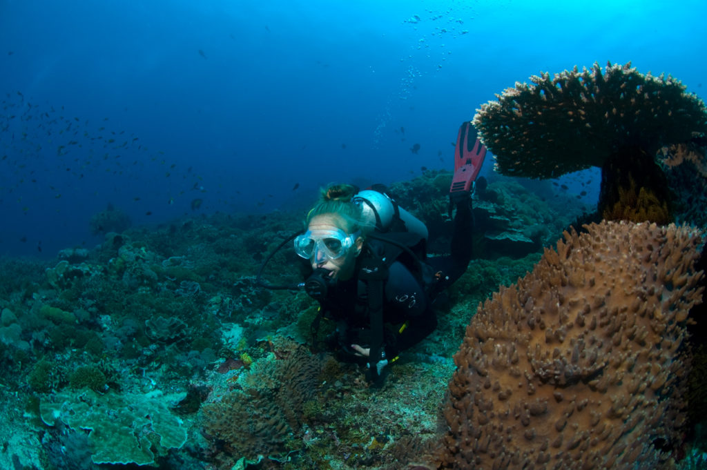 Tauchen in Bali  das versteckte Unterwasserparadies  Blue Season Bali